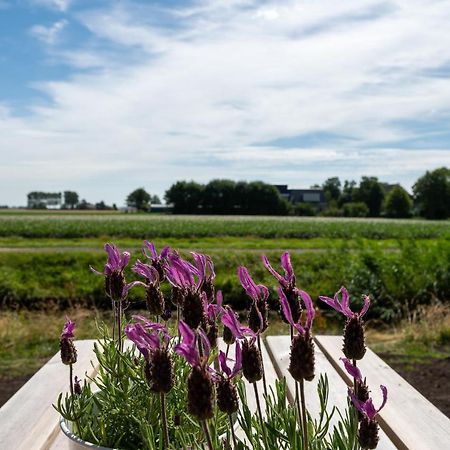 Appartement De Dageraad In Monumentale Boerderij Kimswerd Exteriör bild