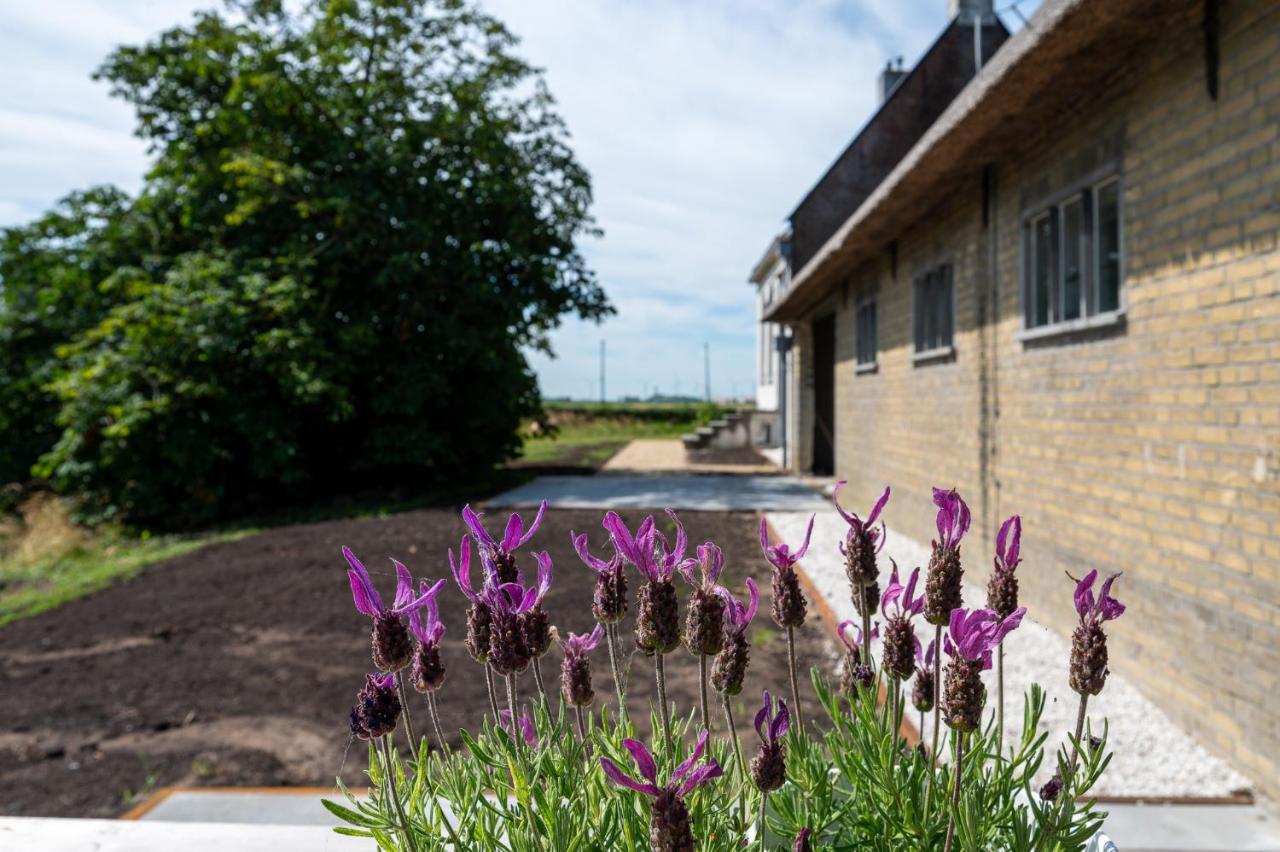 Appartement De Dageraad In Monumentale Boerderij Kimswerd Exteriör bild