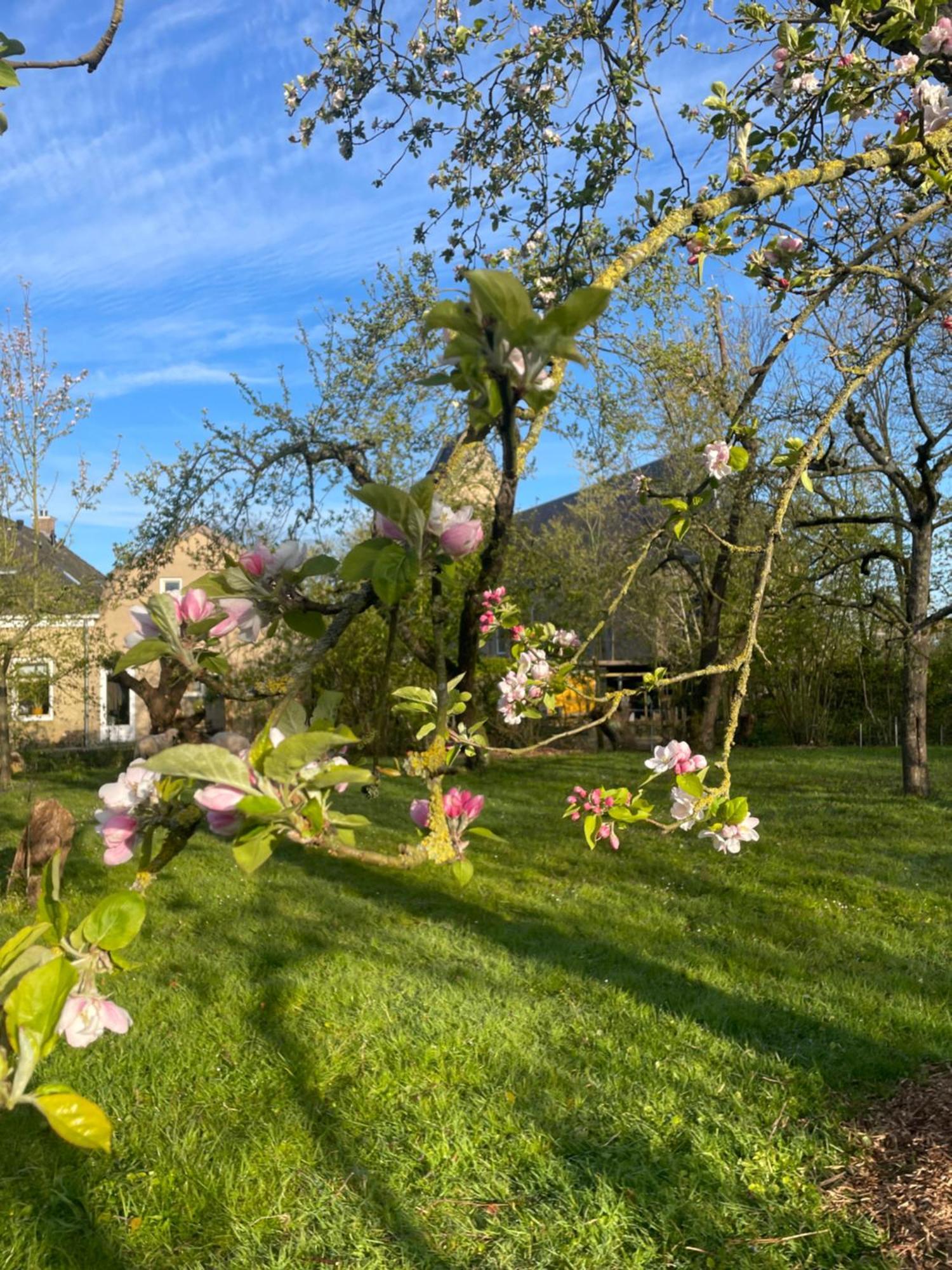 Appartement De Dageraad In Monumentale Boerderij Kimswerd Exteriör bild