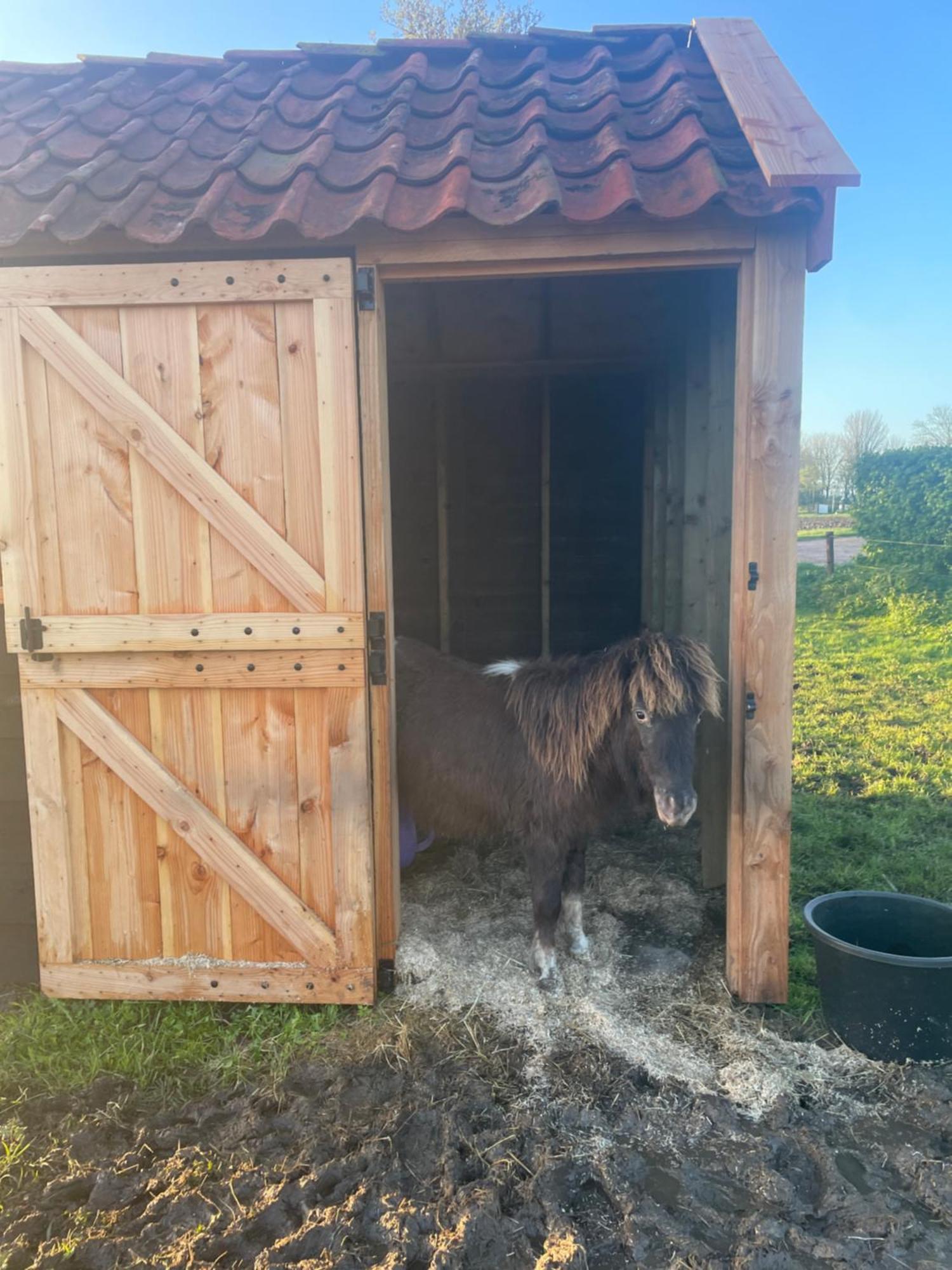 Appartement De Dageraad In Monumentale Boerderij Kimswerd Exteriör bild