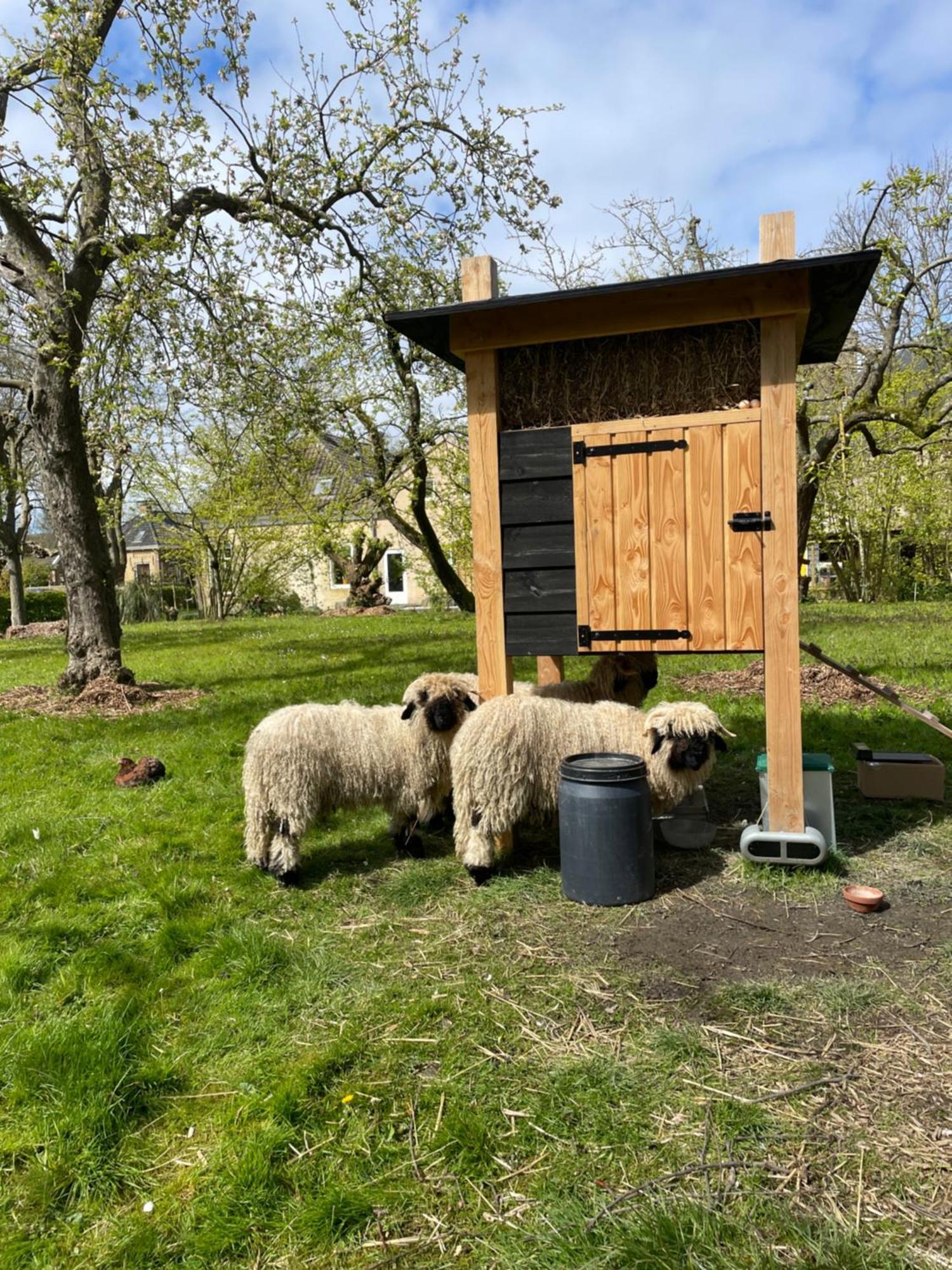 Appartement De Dageraad In Monumentale Boerderij Kimswerd Exteriör bild